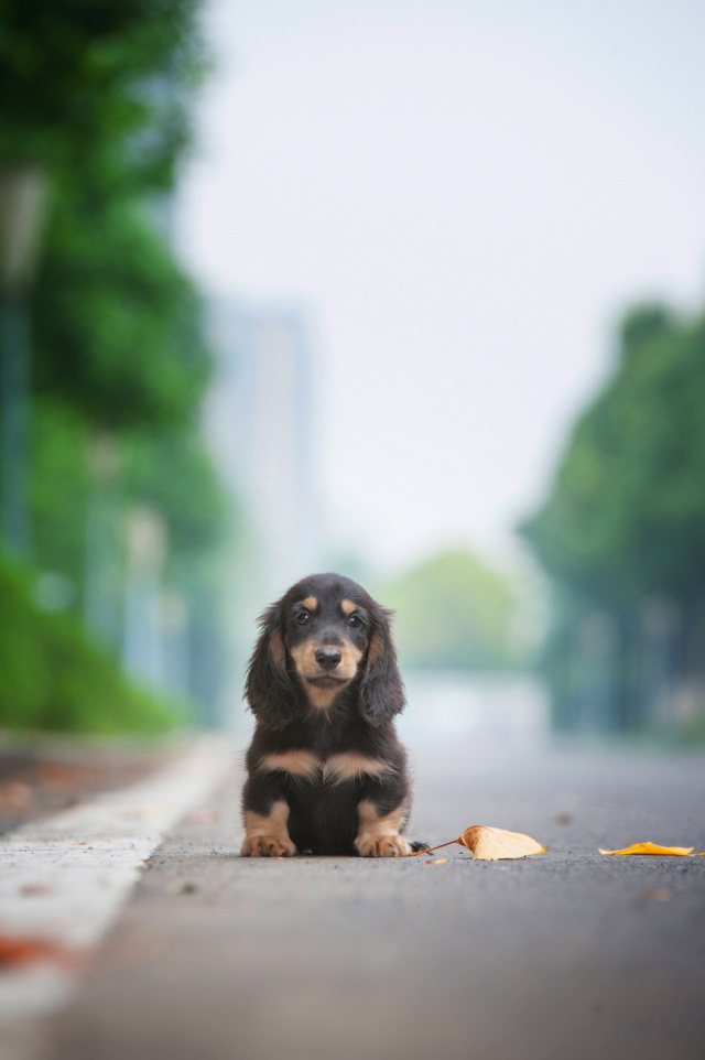 showtime剧情介绍,showtime剧情讲解
