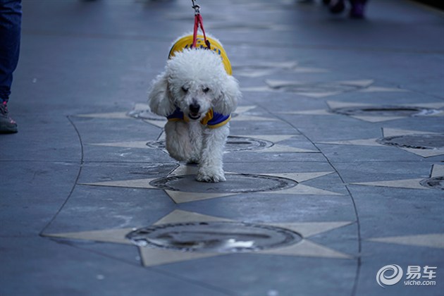 企鹅也爱吃牛肉？三菱帕杰罗阿根廷历险记