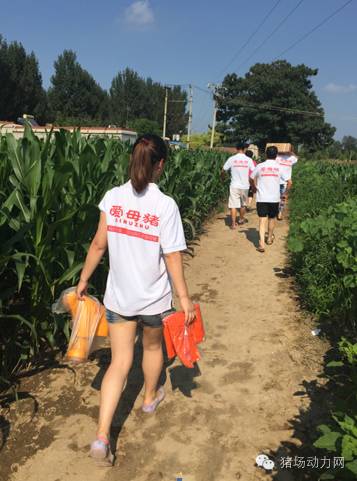 暴雨中抗洪救灾,自己受灾却坚持抗洪救灾感人视频