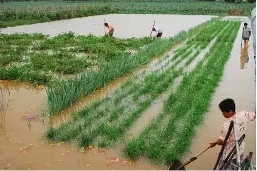 云南会来台风吗这几天,云南降雨与台风