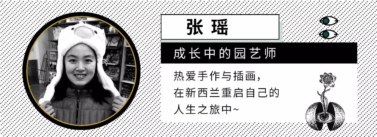 掌握正确施肥方法,如何正确操作施肥