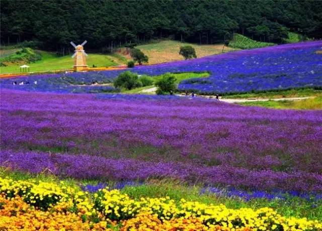 辽宁景点门票,辽宁省景点大全一览表