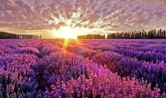 辽宁景点门票,辽宁省景点大全一览表