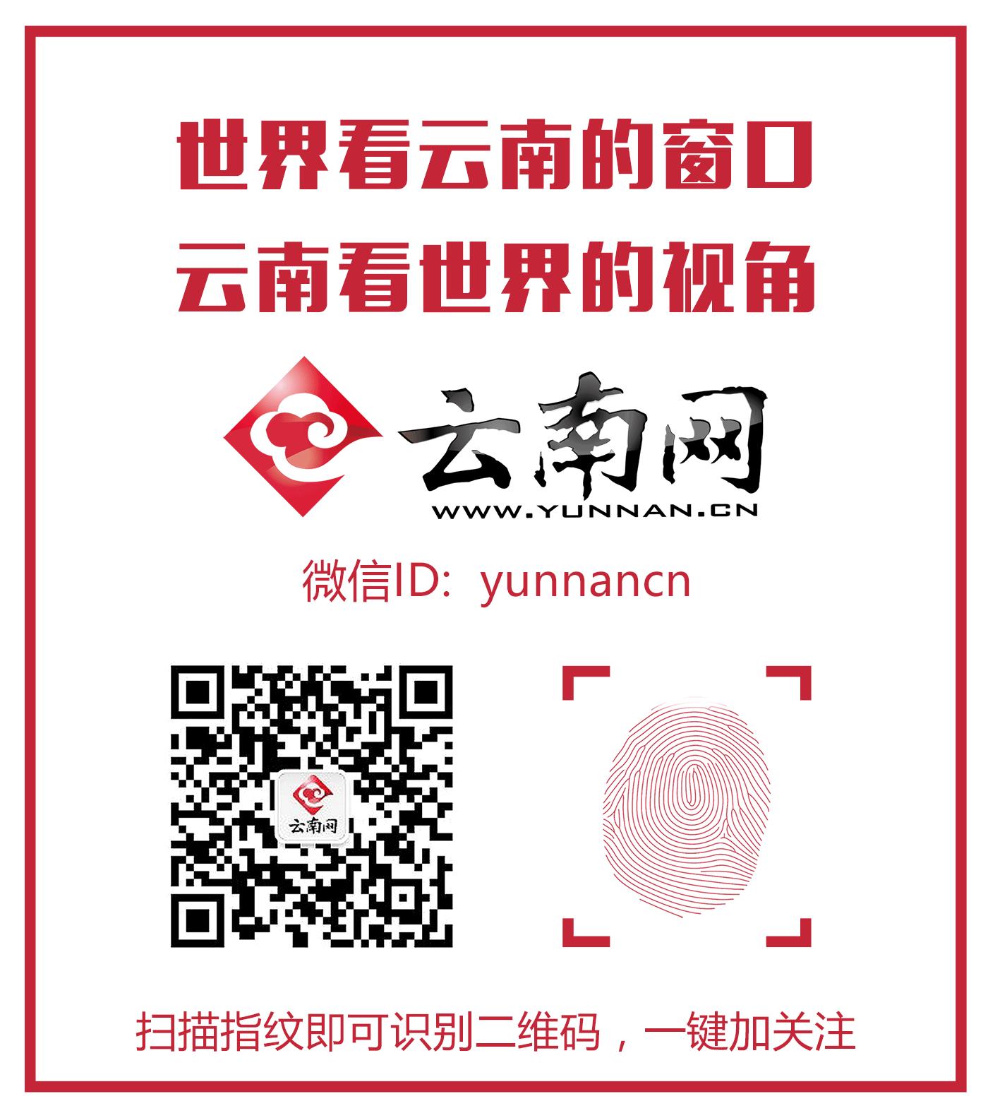 宅生活｜“低头族”如何在社交平台中不中套