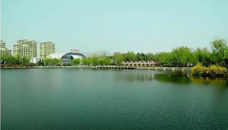 烟台青岛哪个更适合居住,青岛威海烟台哪个最适合居住