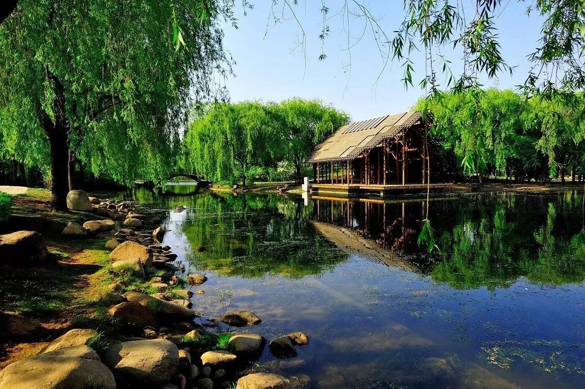 烟台青岛哪个更适合居住,青岛威海烟台哪个最适合居住