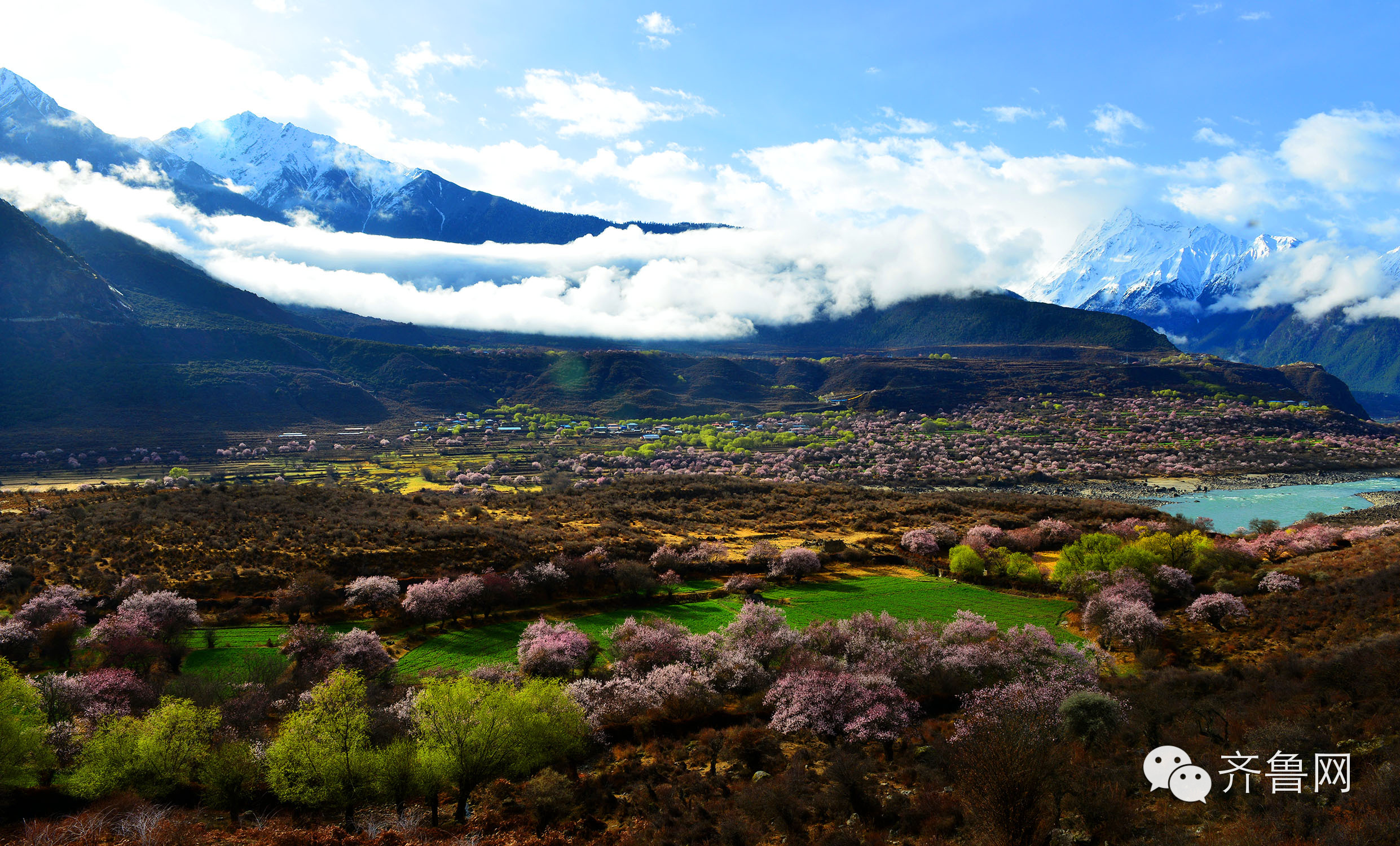 去西藏林芝旅行,去西藏林芝有什么风景