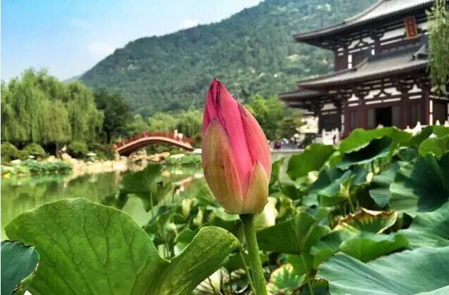 一个外地人对临潼的真实评价