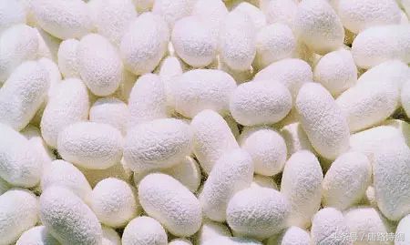 夏天盖桑蚕丝被有多舒服,桑蚕丝夏凉被夏季