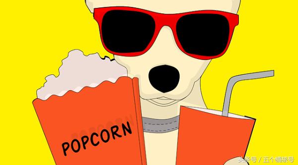 经济学网课教学视频,经济学十分钟速成课