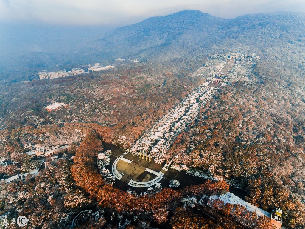 中山陵台阶奥妙,中山陵台阶文化