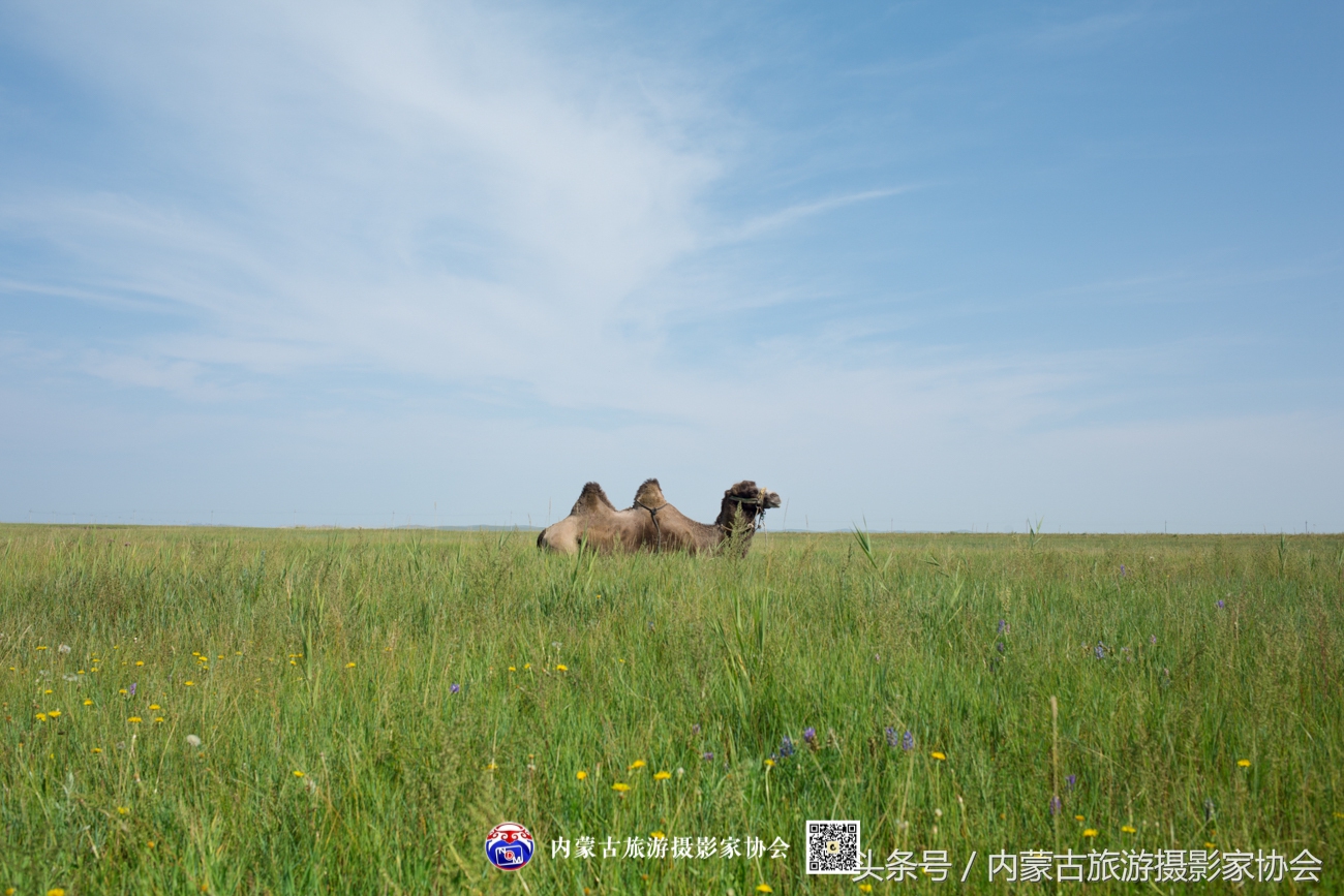 2018平遥摄影节参观攻略,平遥国际摄影大展旅游