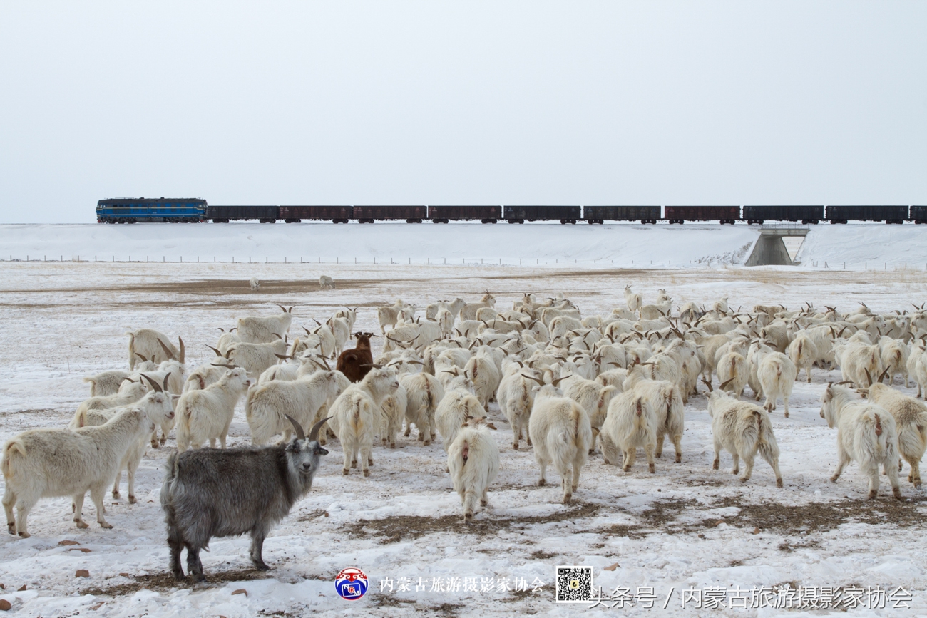 2018平遥摄影节参观攻略,平遥国际摄影大展旅游