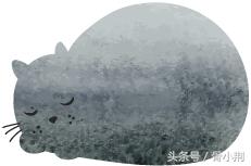 骨质疏松症系列——骨质疏松症如何进行药物治疗？