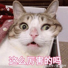 注意！北部新城要放“大招”了！这8个市级重大项目，一个比一个厉害……