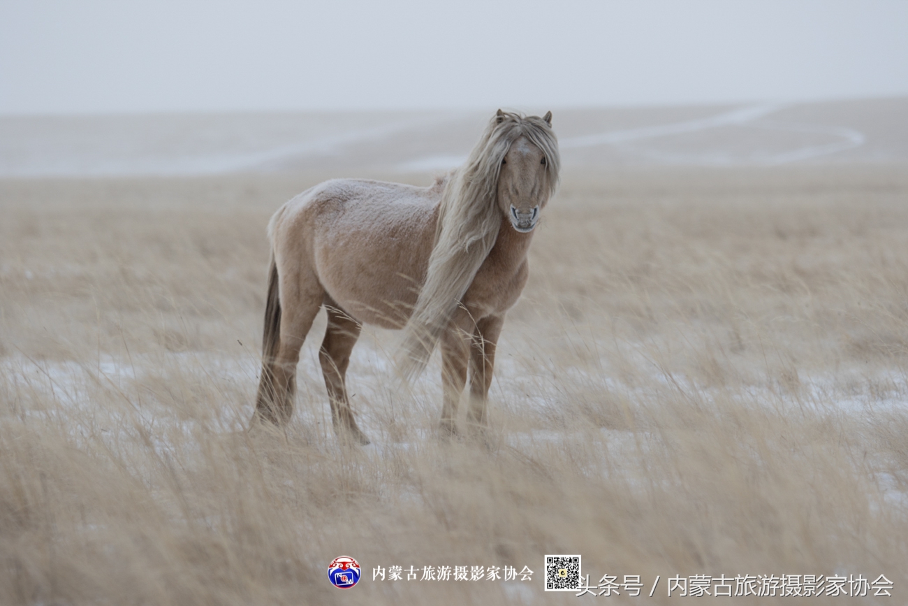 2018平遥摄影节参观攻略,平遥国际摄影大展旅游
