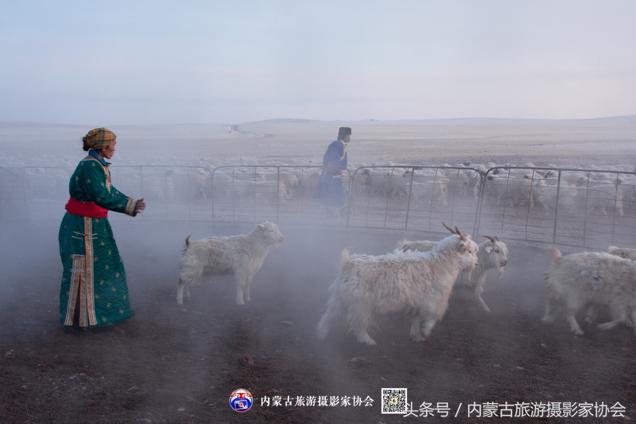 2018平遥摄影节参观攻略,平遥国际摄影大展旅游