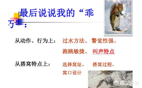 小学生看什么书能提高写作能力,四年级的孩子怎么提高写作能力