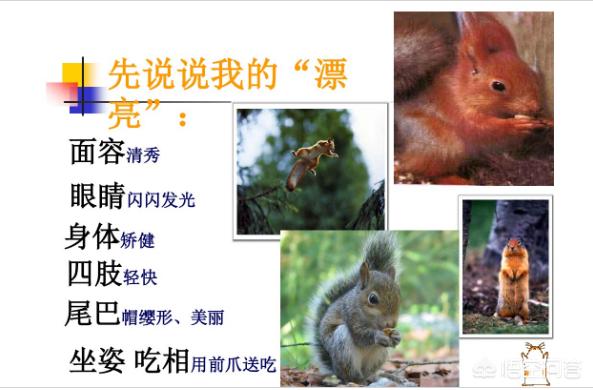 小学生看什么书能提高写作能力,四年级的孩子怎么提高写作能力