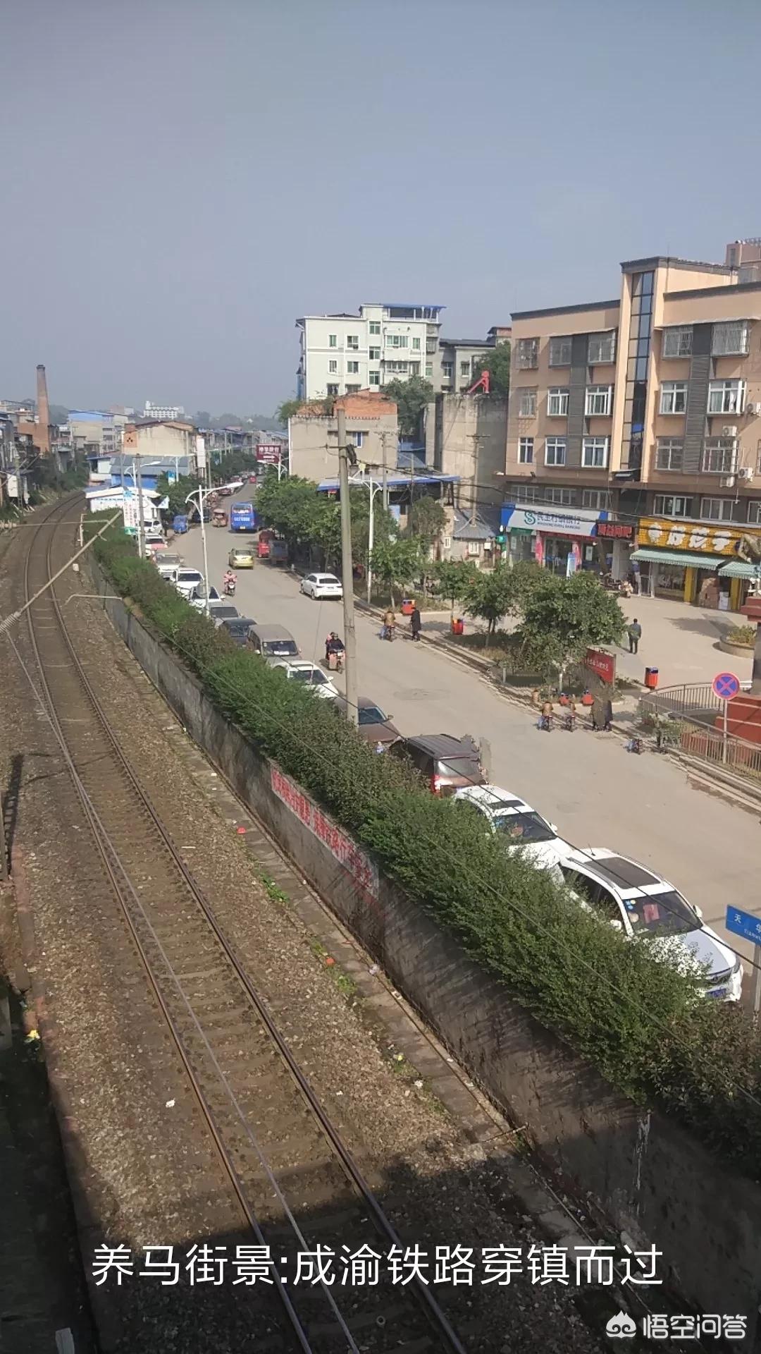 成都东进简州新城,简州新城养马镇松树湾村最新规划