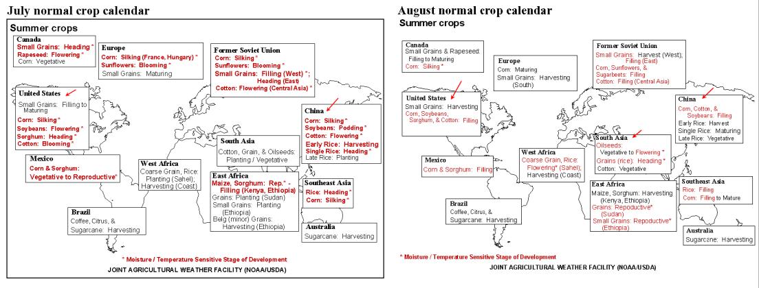期货作手回忆录刘强,期货操盘手刘强