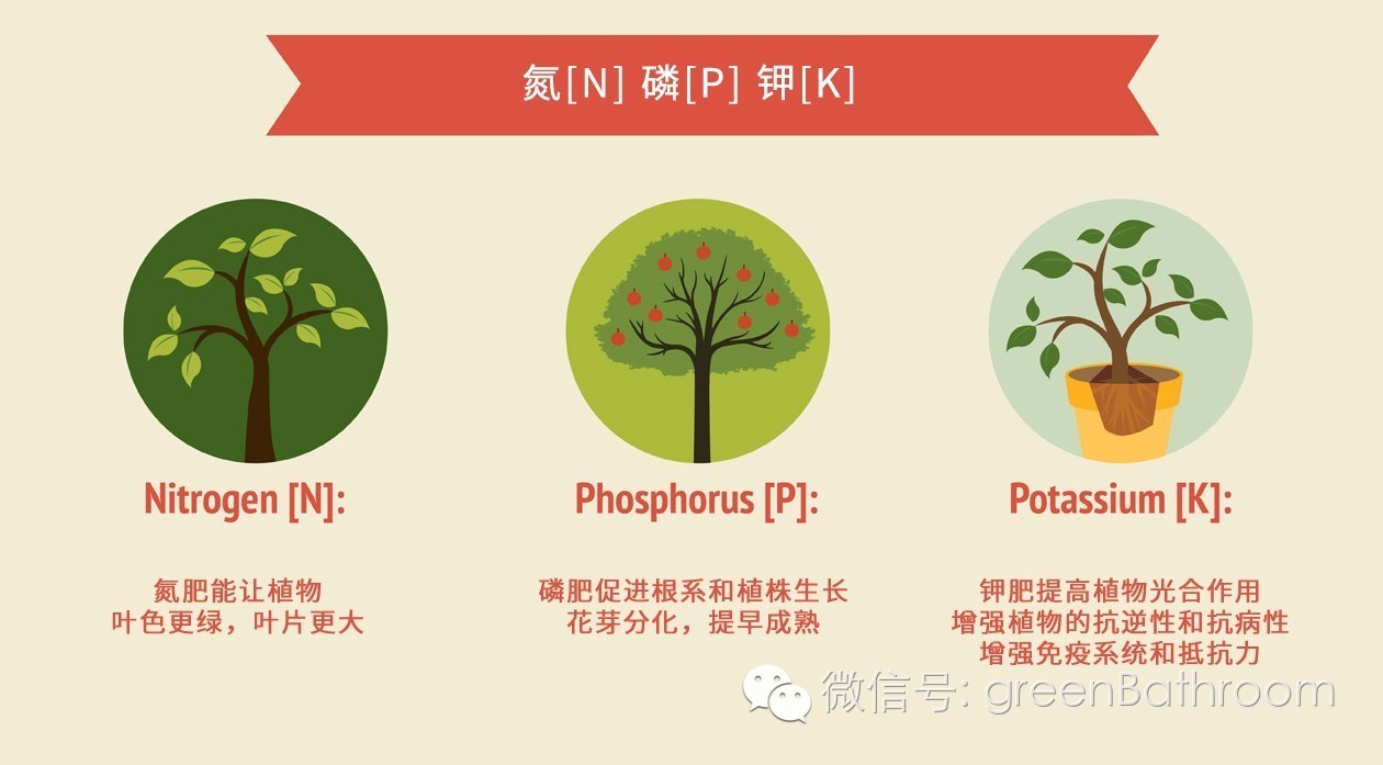 掌握正确施肥方法,如何正确操作施肥