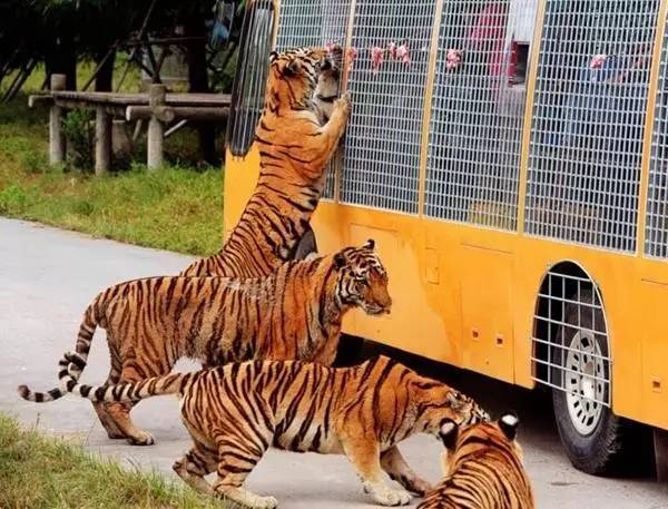 辽宁景点门票,辽宁省景点大全一览表