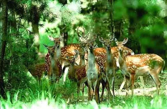 辽宁景点门票,辽宁省景点大全一览表