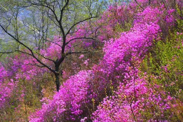 辽宁景点门票,辽宁省景点大全一览表