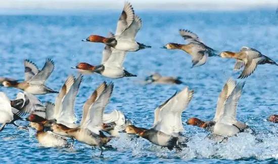 辽宁景点门票,辽宁省景点大全一览表