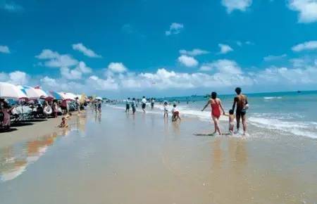 今年佛山飞上海的机票价格趋势,7月广州特价机票