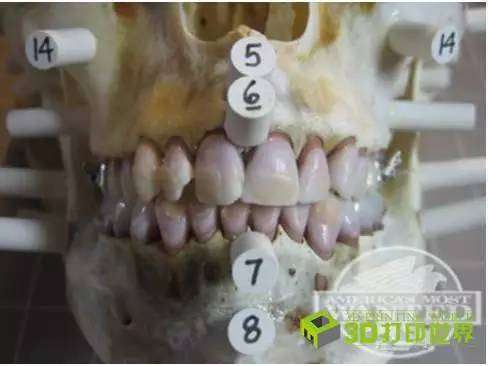 看柯南现实中破案案例,柯南探案最恐怖的10个案件