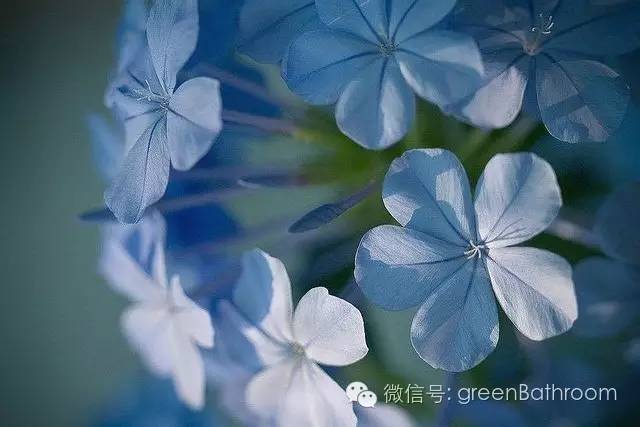 掌握正确施肥方法,如何正确操作施肥