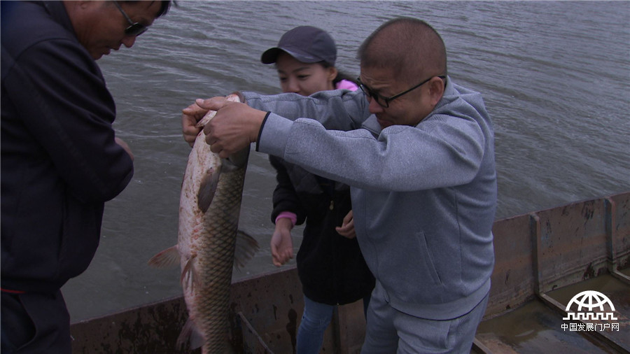 致富经养鱼一年多卖1000万,致富经一亩地赚过亿