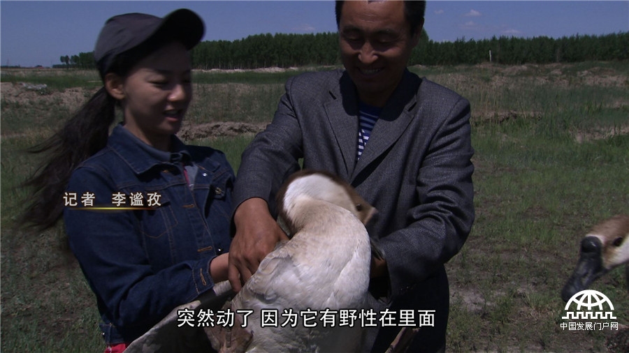 致富经养鱼一年多卖1000万,致富经一亩地赚过亿