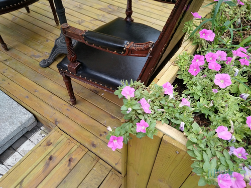 极致自拍vivos7,vivox70超清画质