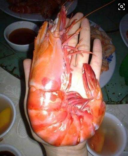 今年佛山飞上海的机票价格趋势,7月广州特价机票