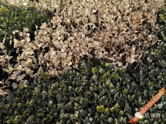 华为matepadt8和华为揽阅m2,华为揽阅m210.1英寸62g好不好