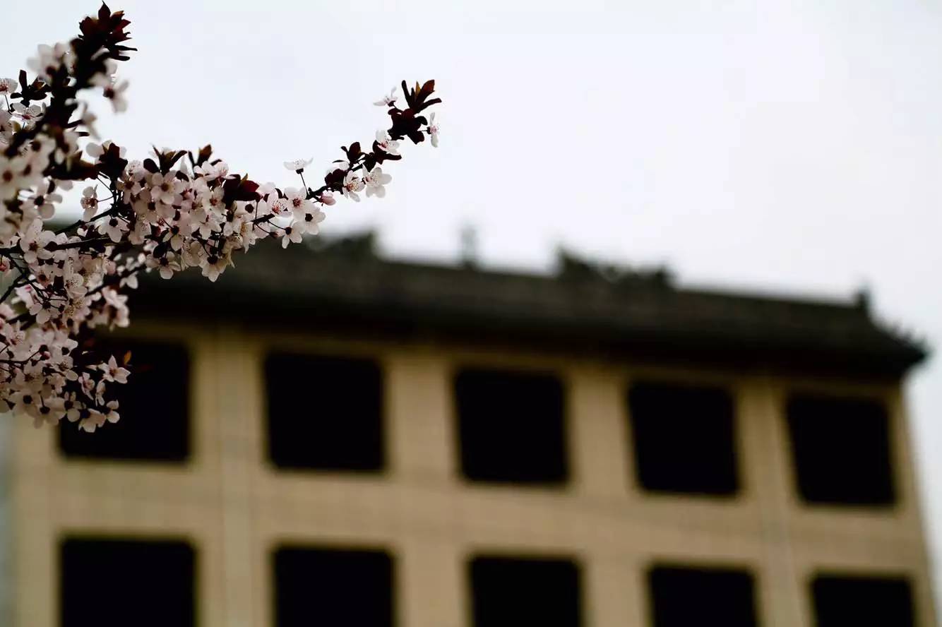 一个外地人对临潼的真实评价