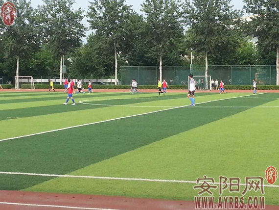 河南省安阳市豫冠联赛,豫冠联赛总决赛视频