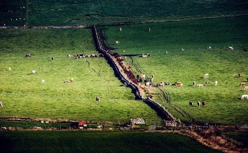 环驾苏格兰，阅读最具故事性的篇章|自驾推荐