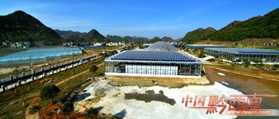 山野漫山遍野风景,山野奇花异草