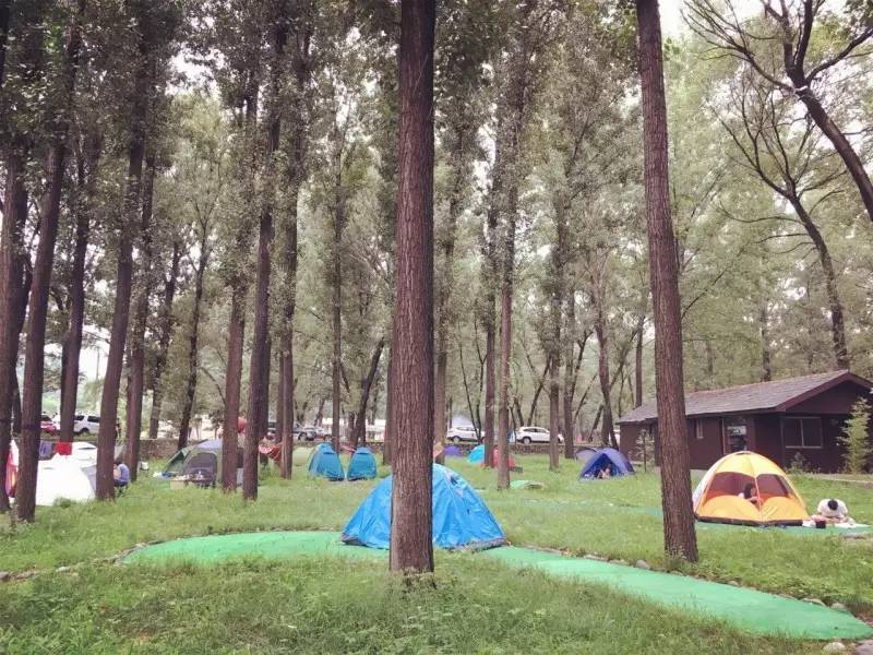 996闇茶惀,鍗冧汉闇茶惀澶т細