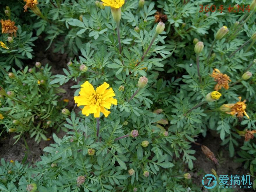 魅蓝3型号介绍,魅蓝系列旗舰手机