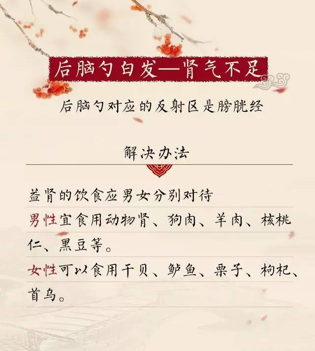 拔一根白发长出七根有这说法吗,白发拔一根长一堆是什么原因