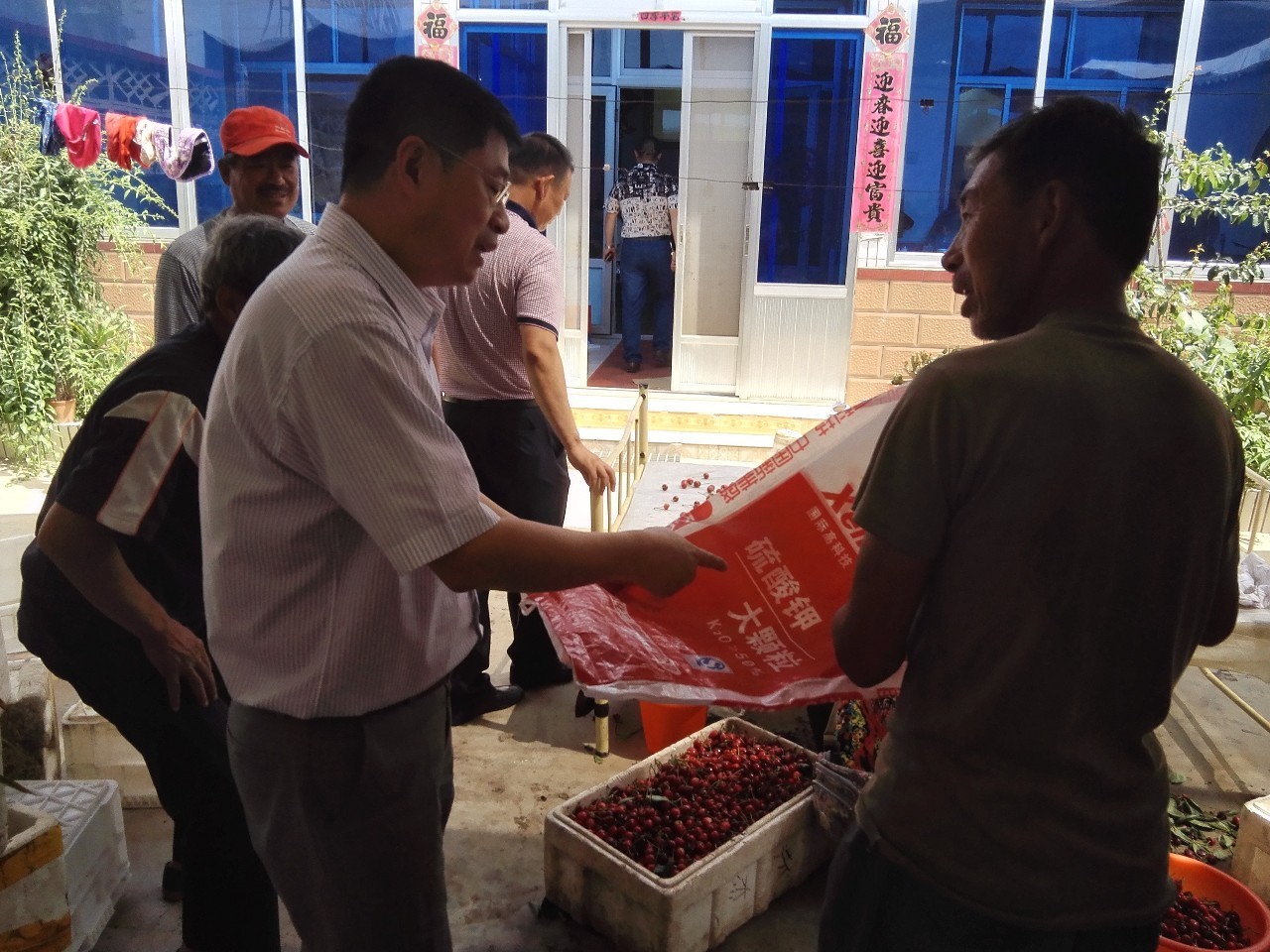 红牛硫酸钾质量怎么样,红牛硫酸钾复合肥效果怎么样