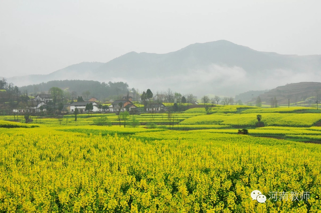 端午诗会课堂,端午诗会实录