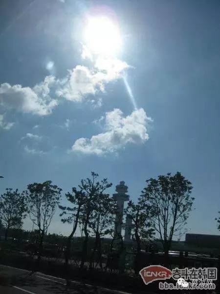 中国人去济州岛购物,跟团去济州岛购物攻略