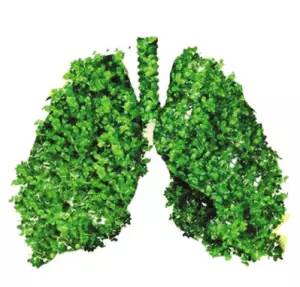 奥运纪录为什么比世界纪录好,刷新奥运会纪录有好处吗