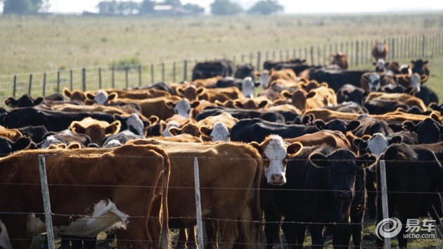 企鹅也爱吃牛肉？三菱帕杰罗阿根廷历险记